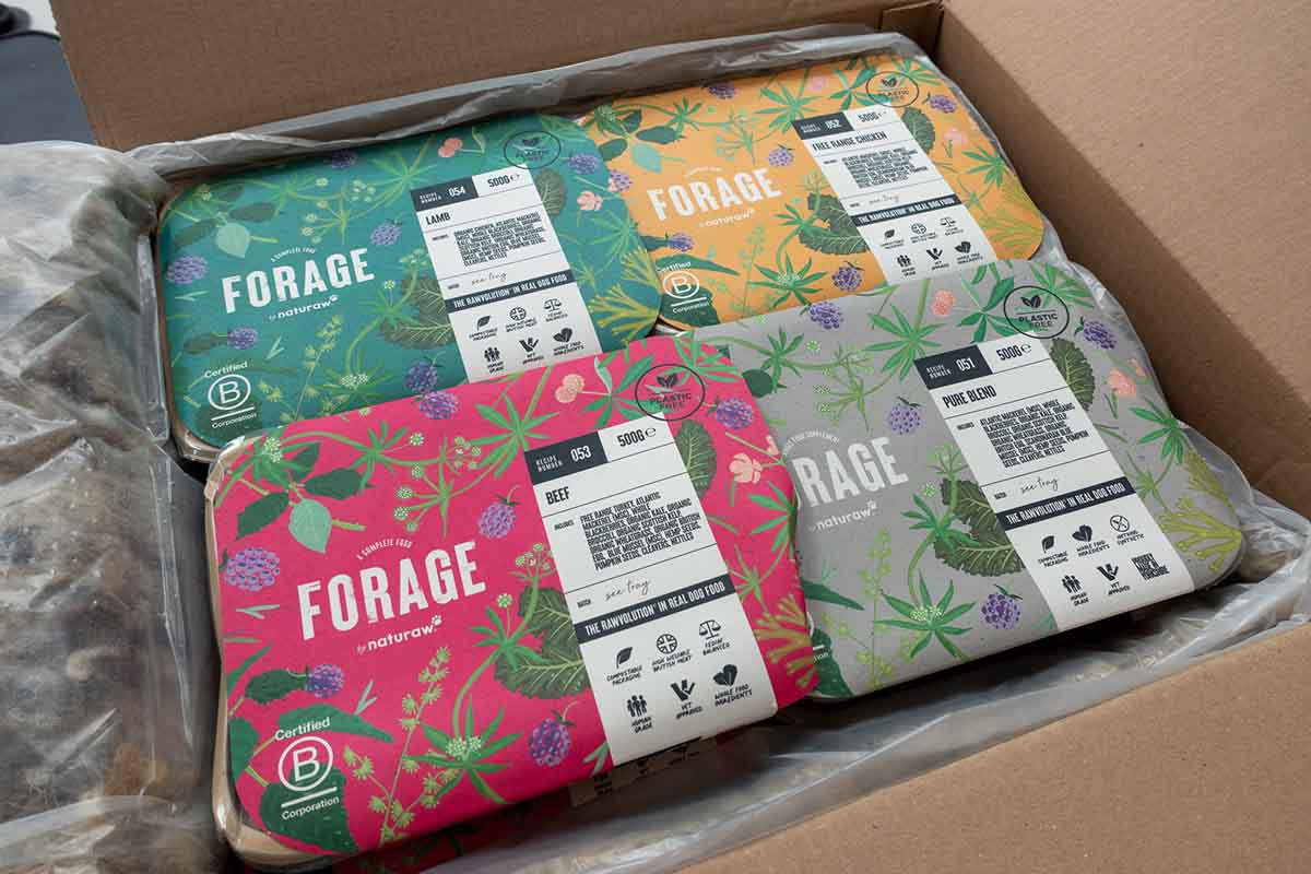 Best Raw Dog Food UK 2023 • helloBARK!