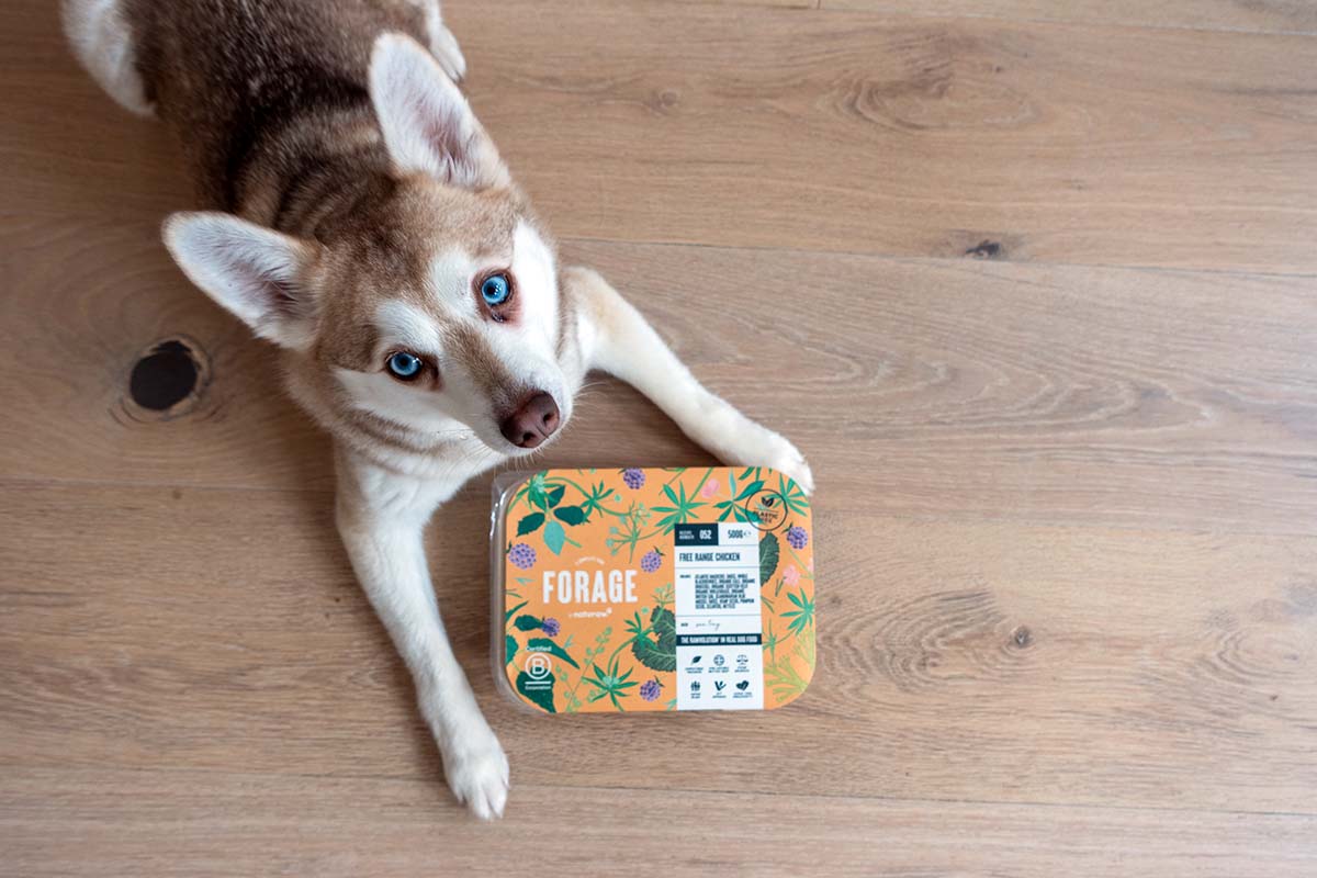 Naturaw Raw Dog Food Review • helloBARK!