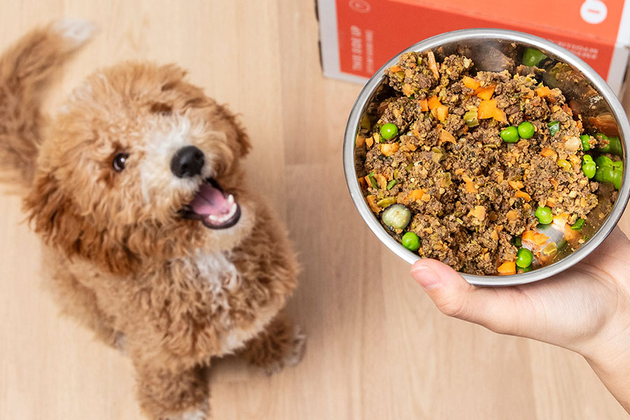 Ollie Pet Food Reviews atelieryuwa.ciao.jp