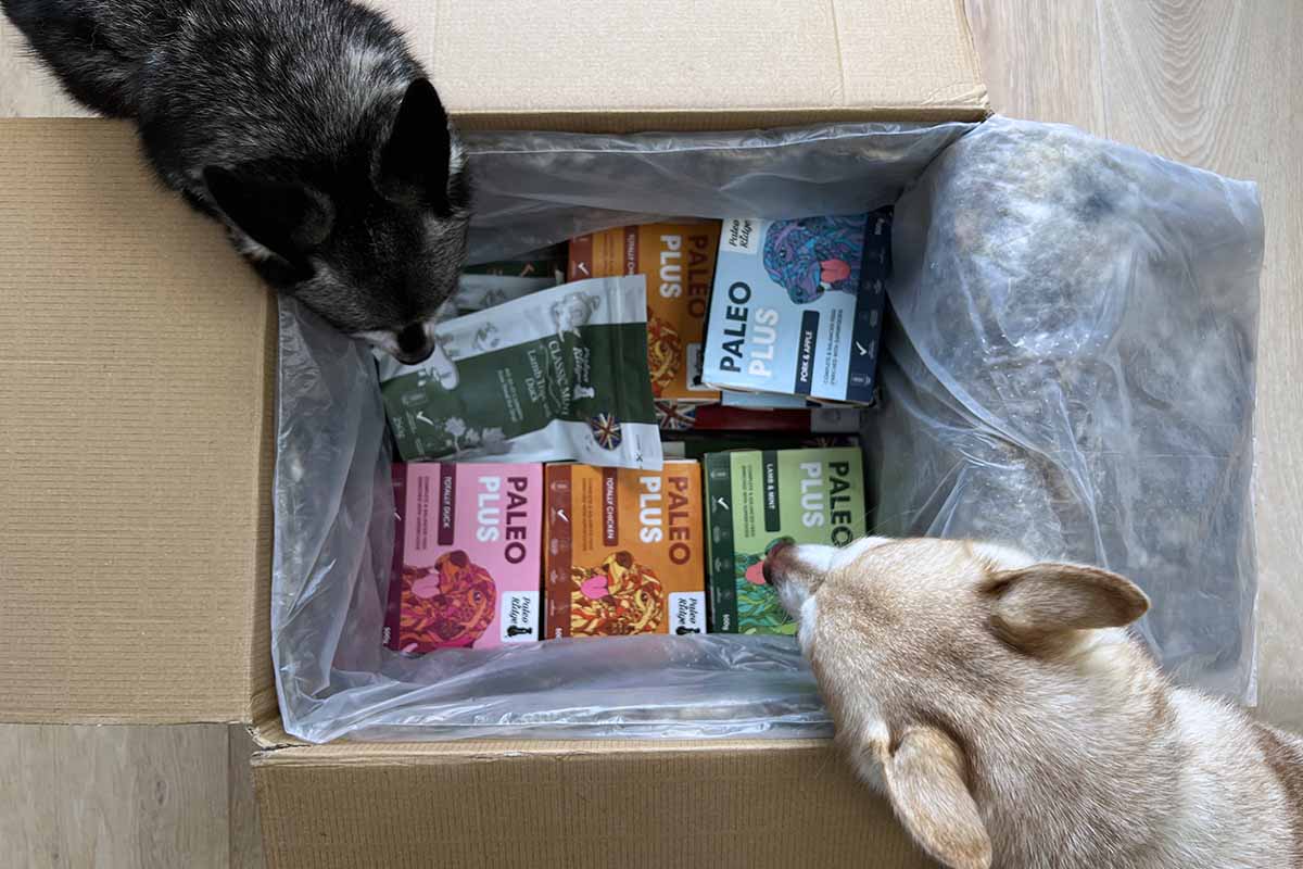 Paleo Ridge Raw Dog Food Review • helloBARK!