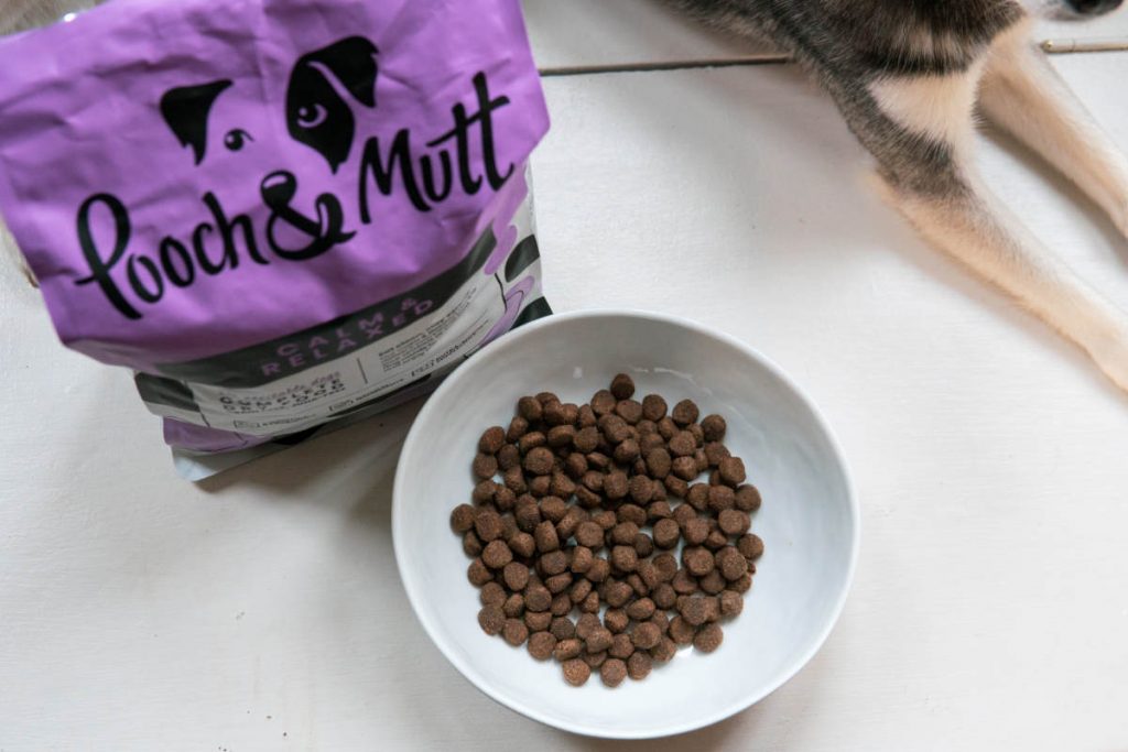 Pooch & Mutt Dog Food Review (My Honest Verdict) • helloBARK!