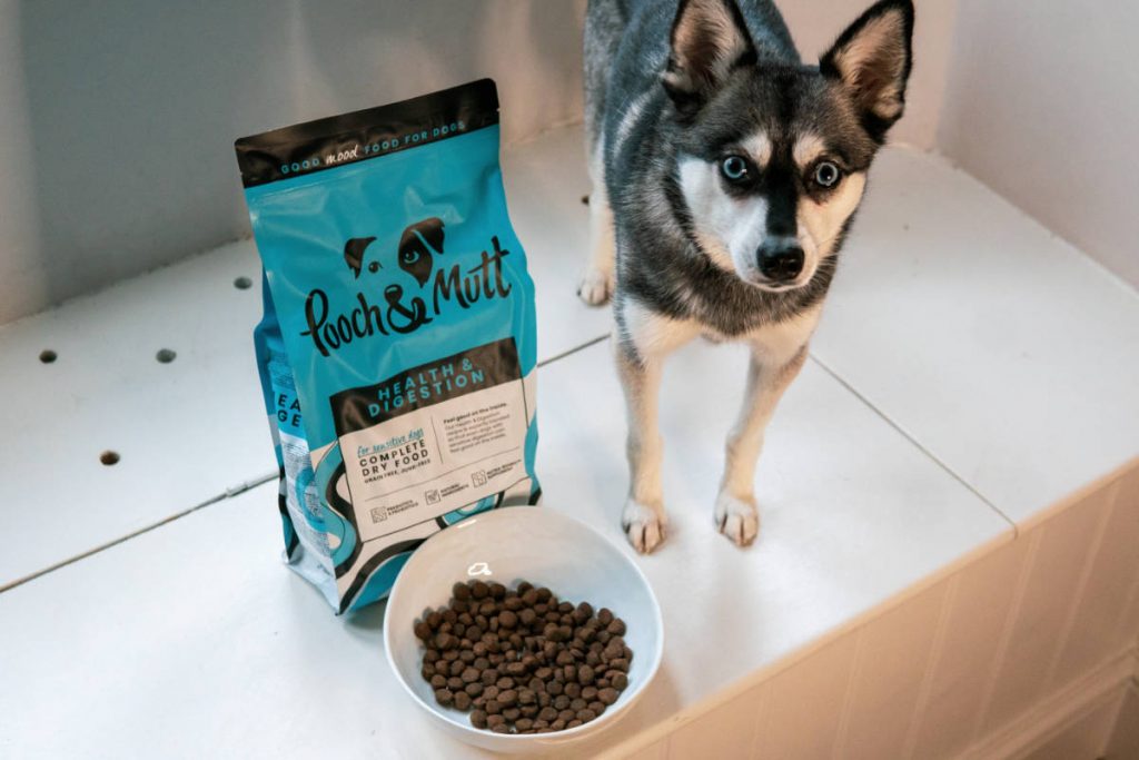 Pooch & Mutt Dog Food Review (My Honest Verdict) • helloBARK!