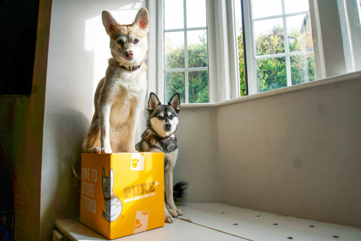 Pure Pet Food Vs Reviews • helloBARK!