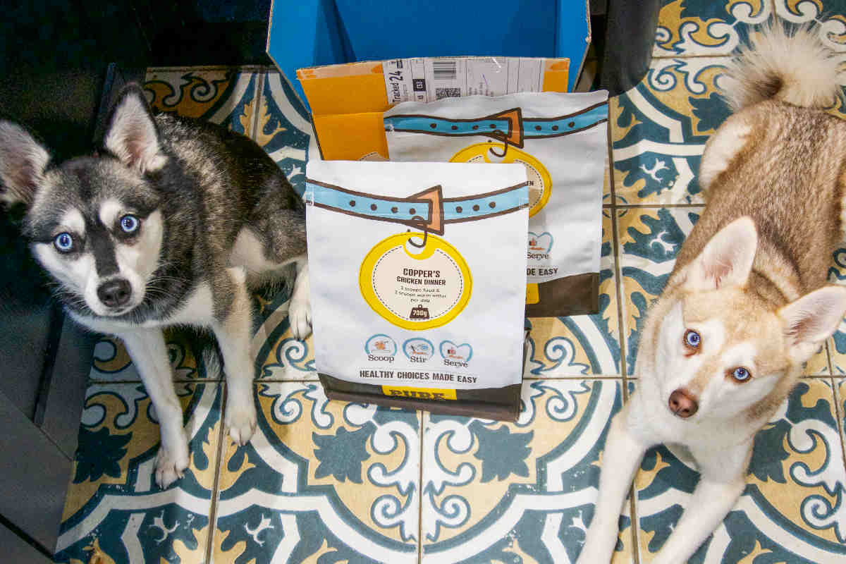 Best Dog Food For Pugs UK Butternut Box Pure Poppy's Picnic