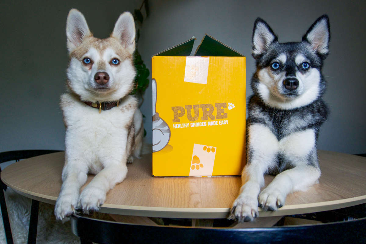 Best Tailored Dry Dog Food UK 2023 • helloBARK!