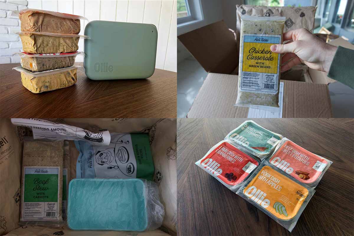 The Pets Table vs Ollie Dog Food Which Is The Best Dog Food?
