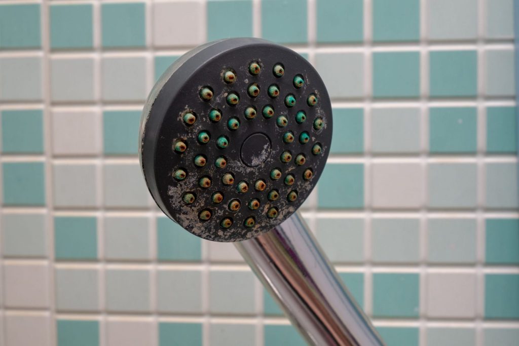 What Is The Most Common Problem With Shower Heads? Hello Bathrooms