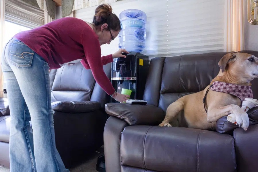 Primo Deluxe Top Water Dispenser With Pet Sation A MustHave For Your