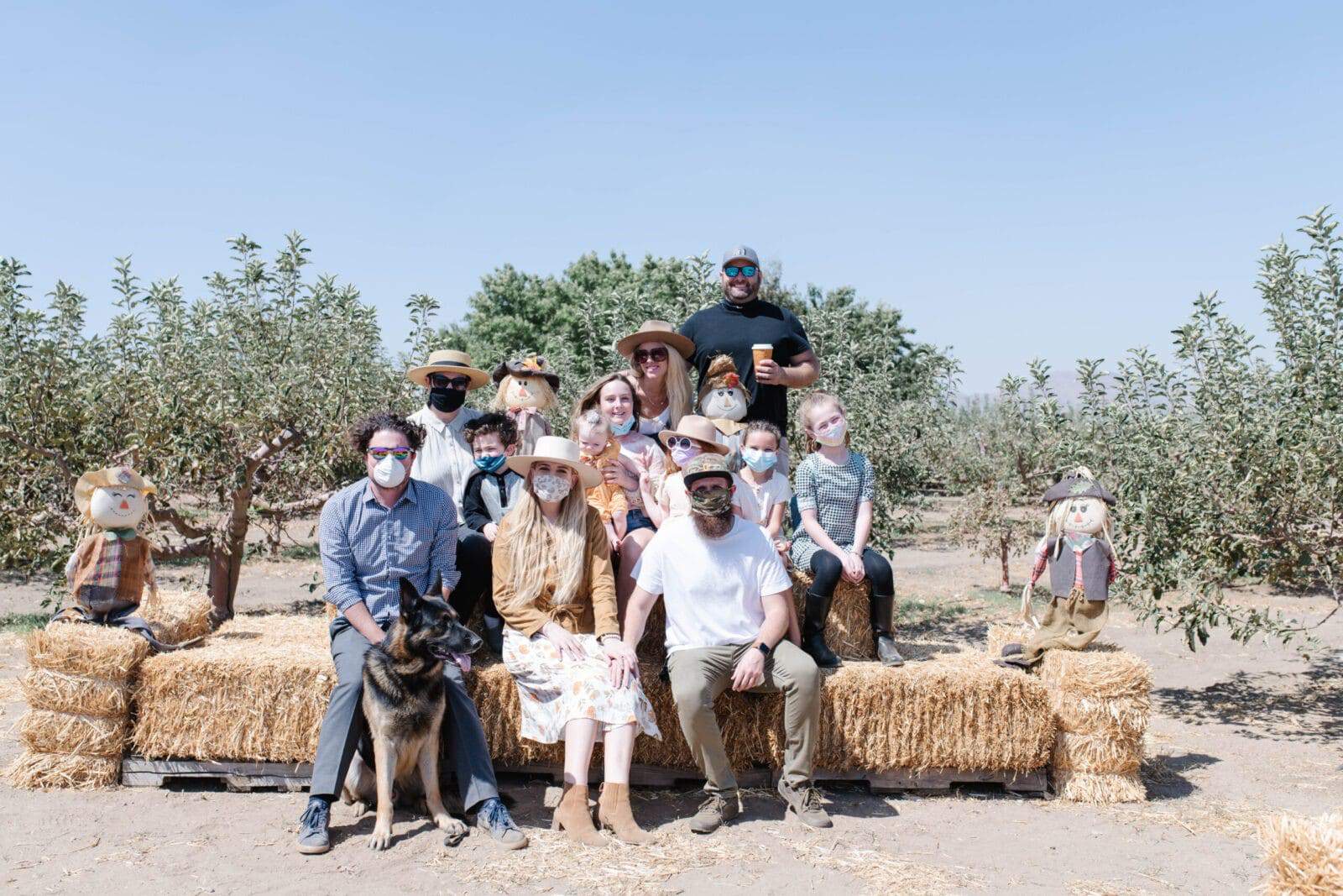 Apple Picking in Tehachapi, California Hello Celeste