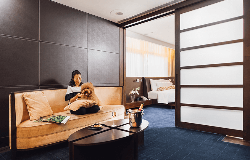 Pet friendly hotels and serviced apartments in Hong Kong hellodog