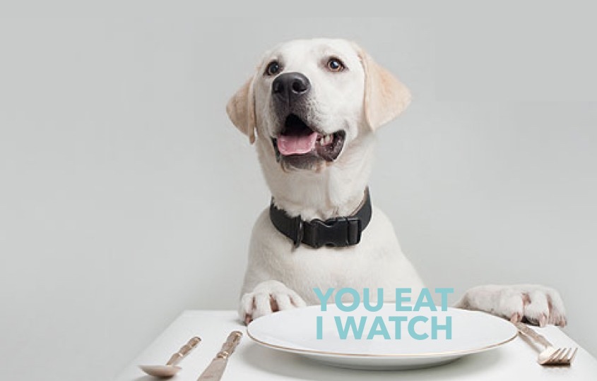 【HK Island Guide】Dogfriendly cafes and restaurants hellodog