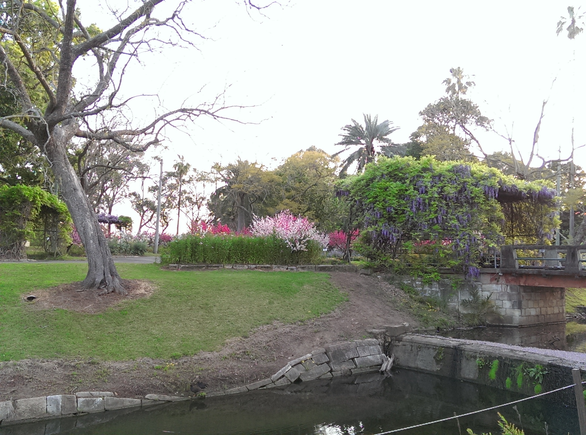 Wisteria Gardens hello from sandy