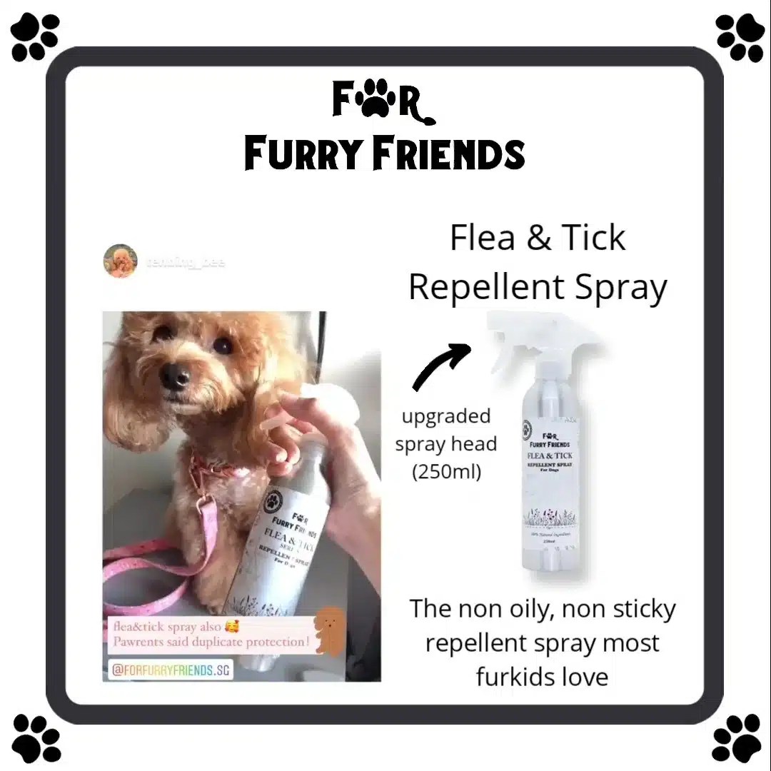 FOR FURRY FRIENDS FLEA & TICK REPELLENT SPRAY (FOR DOGS ONLY) 100ml
