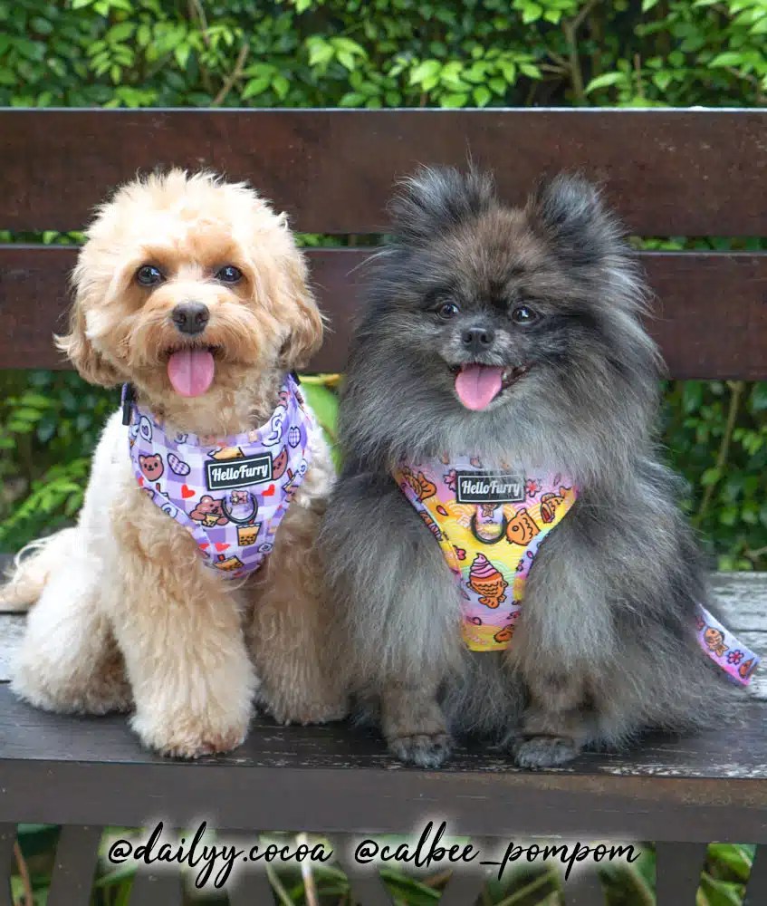 *NEW* ADJUSTABLE DOG CAT HARNESS Taiyaki Waffle HelloFurry Singapore