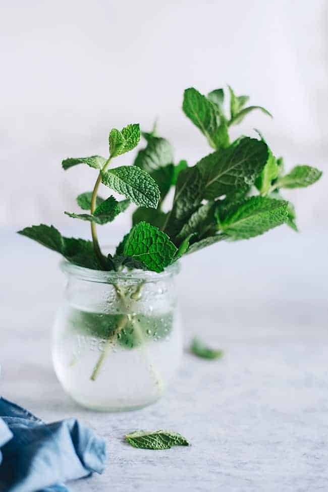 7 Health Benefits of Mint + A Vegan Mint Chocolate Ice Cream Recipe