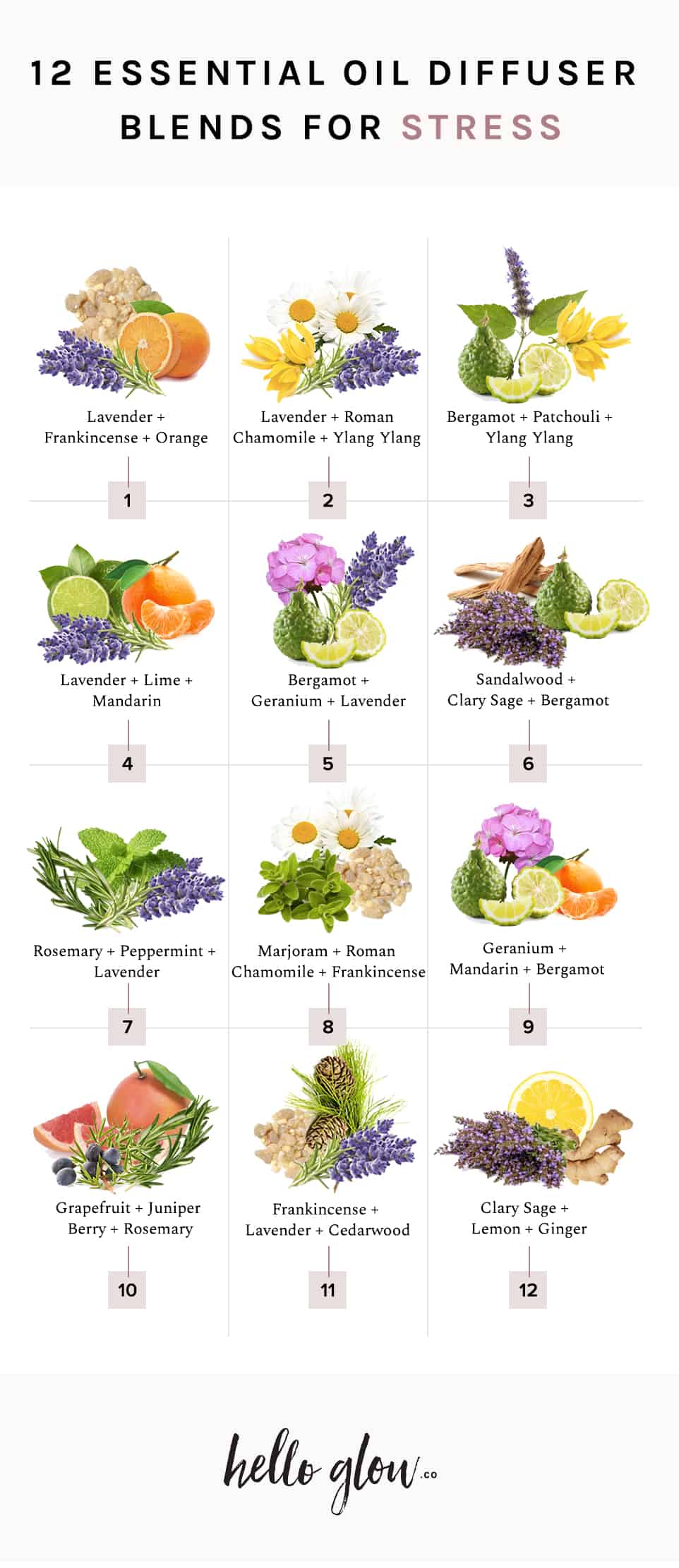 12 Important Oil Diffuser Blends for Stress Doctor Woao