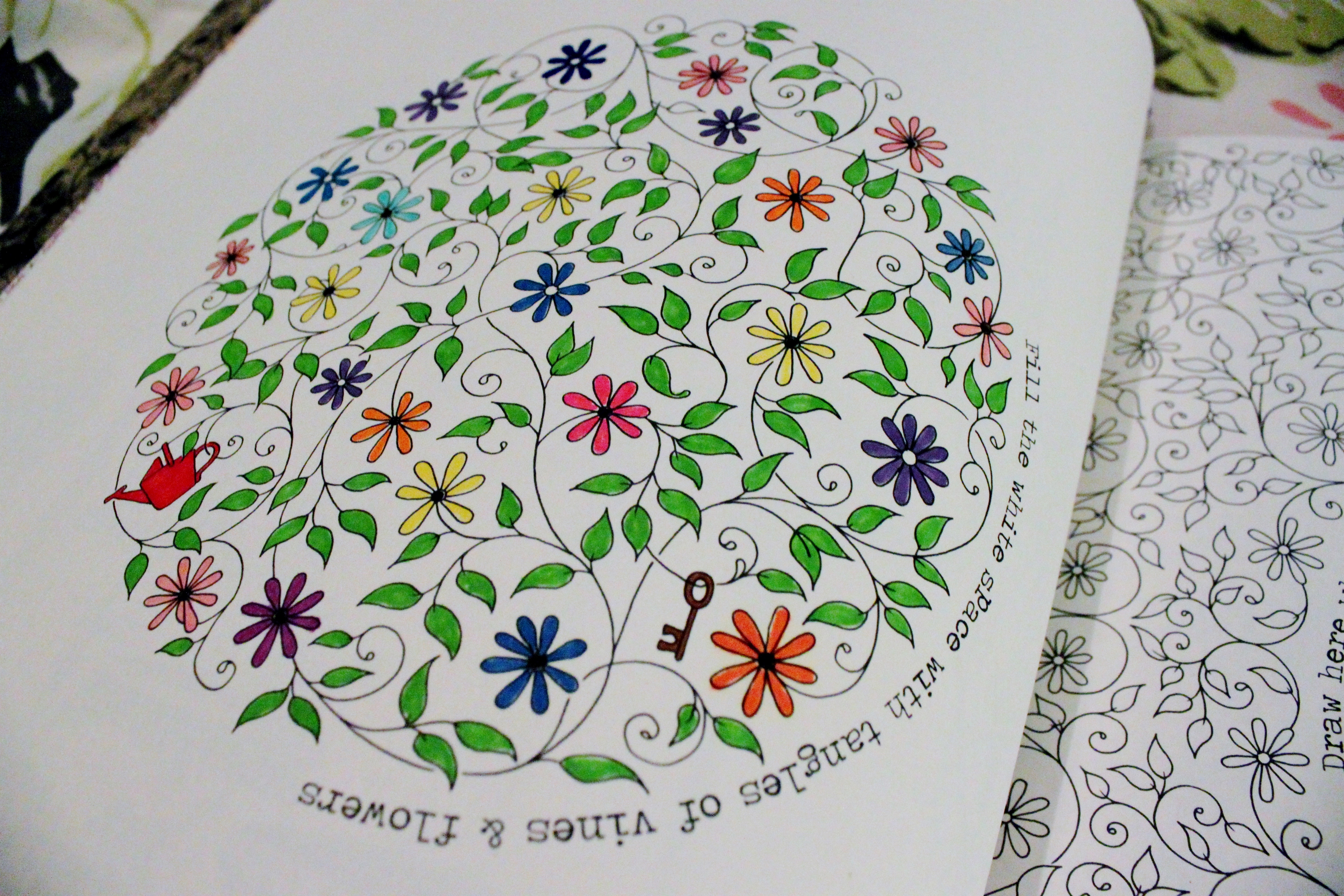 Featured image of post The Best 10 Finished Secret Garden Coloring Book Completed Pages