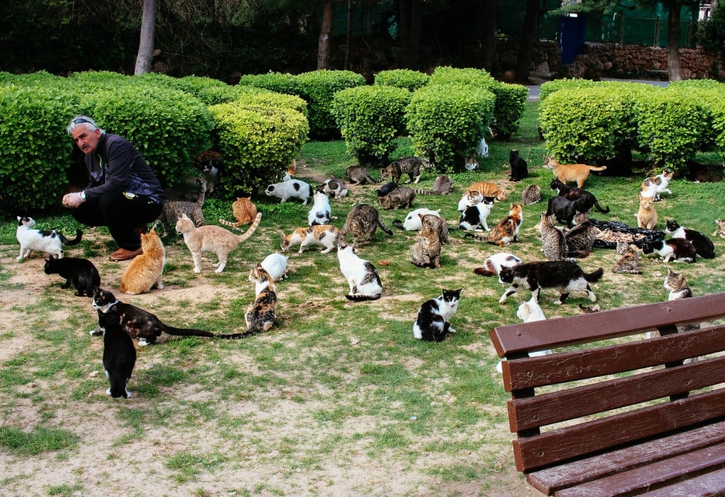 Catching Up on Antalya