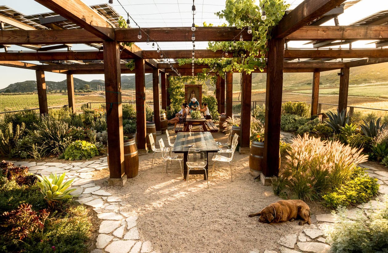 3 Valle de Guadalupe Wineries You Shouldn't Miss While in Mexico