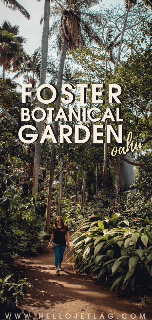 Oahu's Foster Botanical Garden // A Visitor's Guide