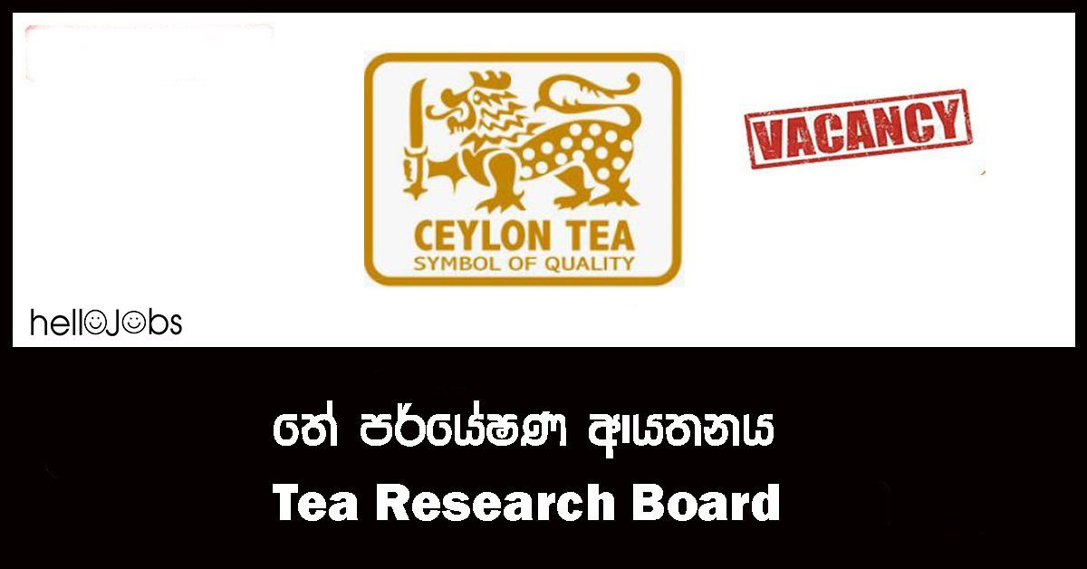 Sri Lanka Tea Board Government Jobs Private Jobs vacancies in Sri Lanka