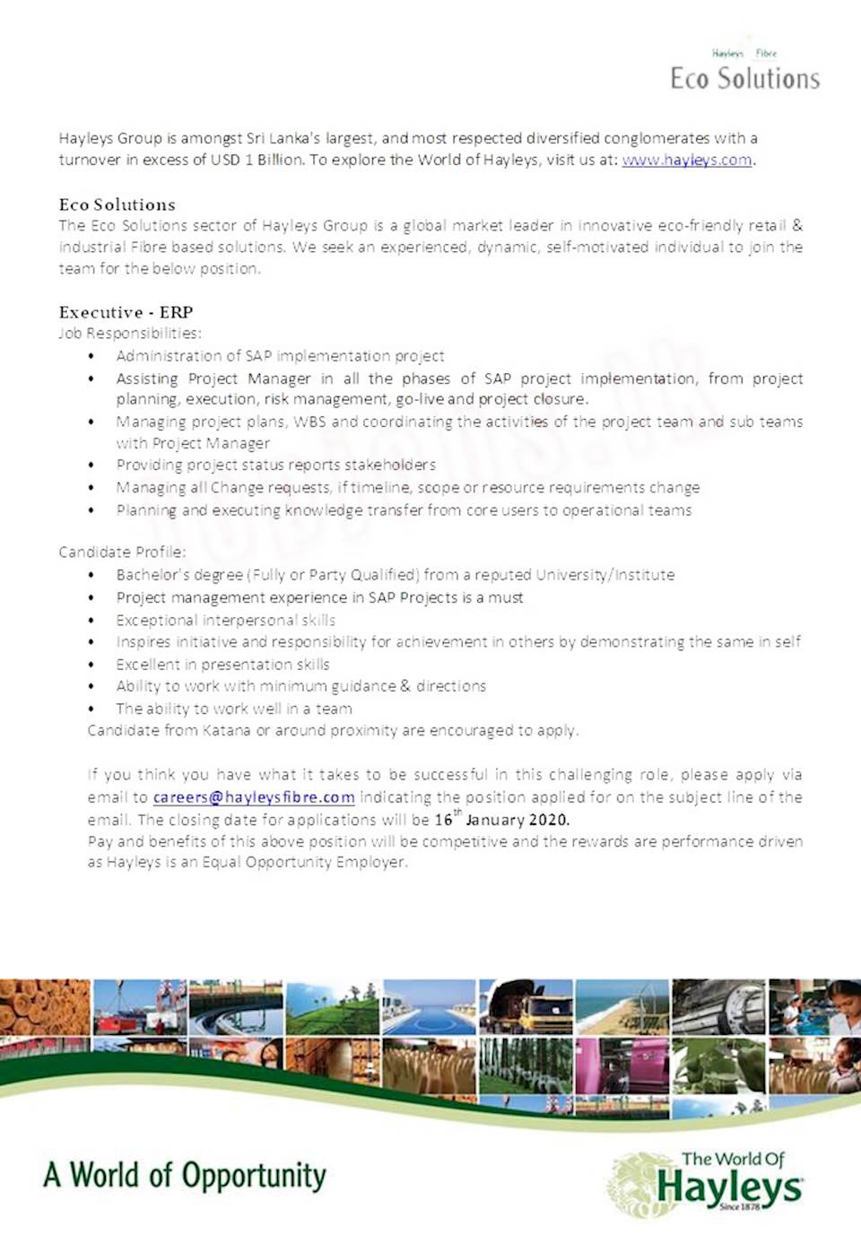 Executive ERP Hayleys Group government jobs, all govt jobs,