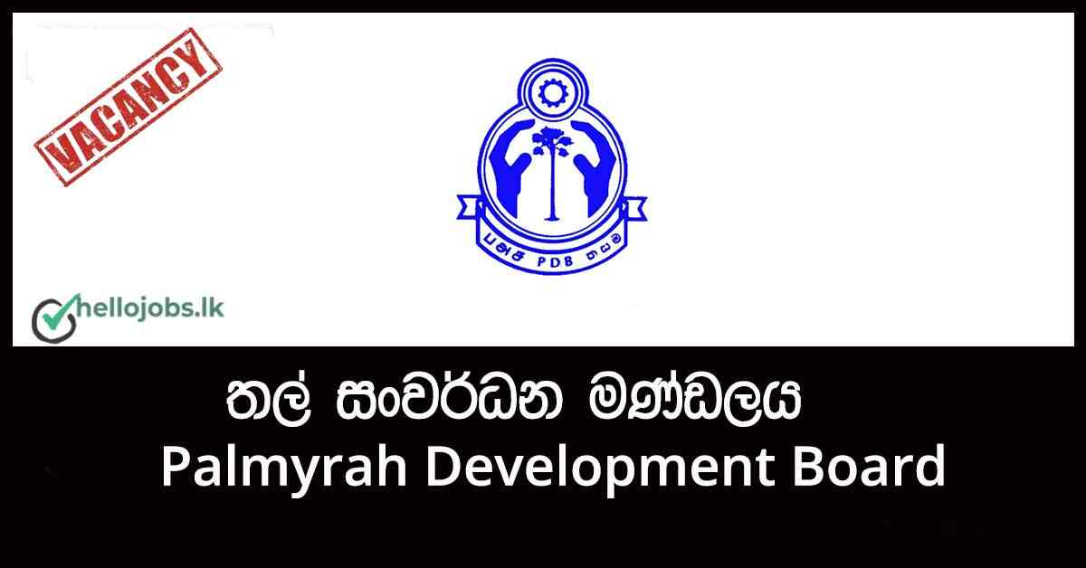 Manager Job Vacancies 2024 Palmyrah Development Board