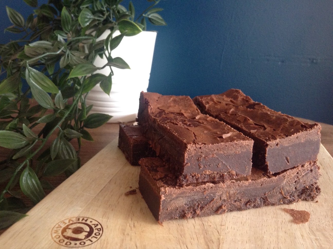 Coasters Coffee Company