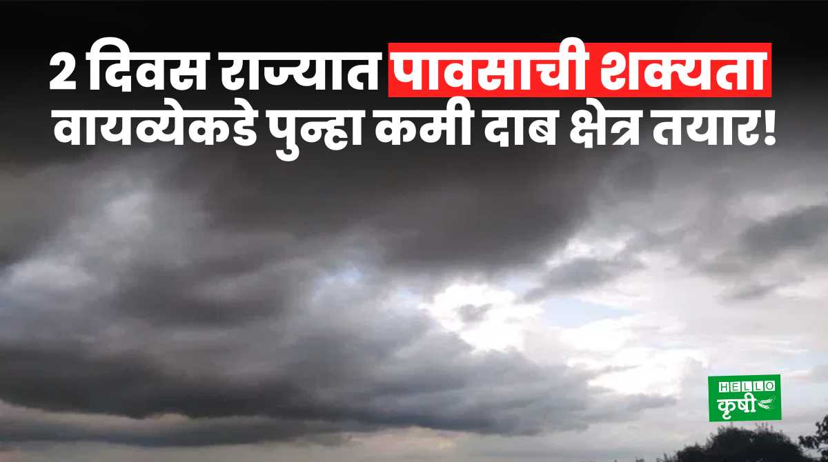Weather Update 2 दिवस राज्यात पावसाची शक्यता कायम; वायव्येकडे पुन्हा