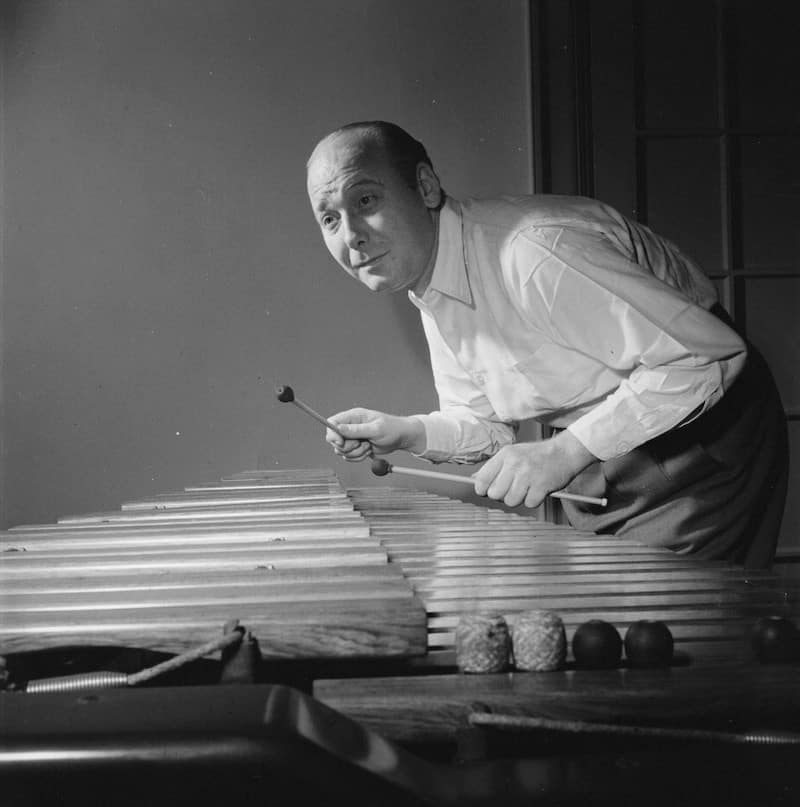 15 Of The Greatest And Most Famous Vibraphone Players