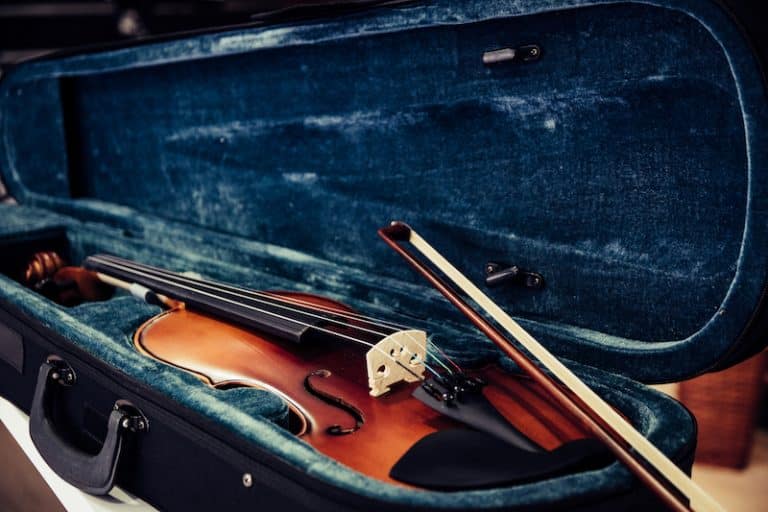 10 Of The Best Violin Cases In 2024