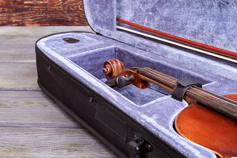 10 Of The Best Violin Cases In 2024