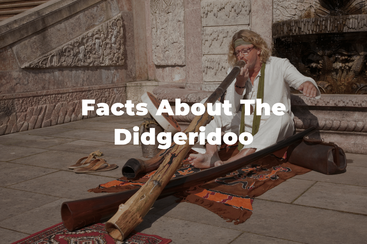 15 Fun And Interesting Facts About The Didgeridoo