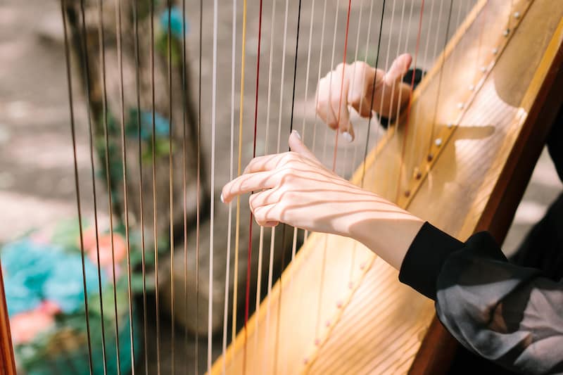 15 Fun And Interesting Facts About The Harp
