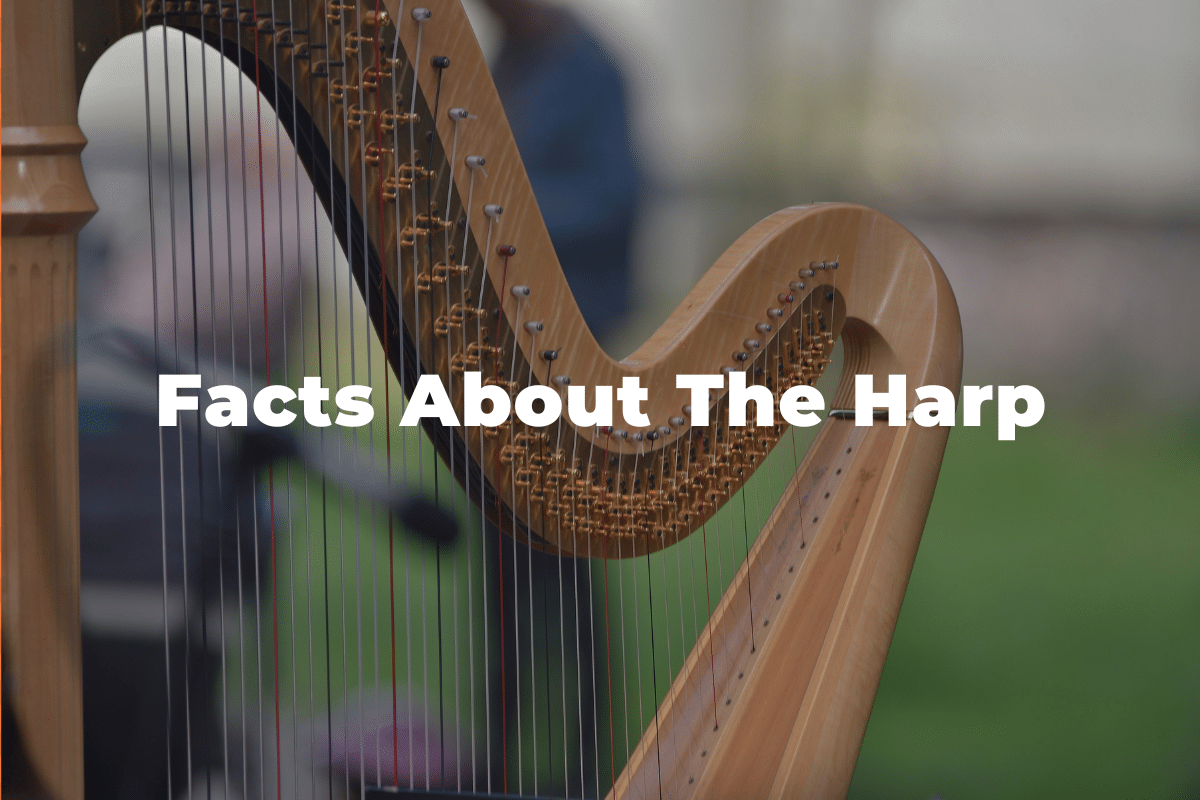 15 Fun And Interesting Facts About The Harp