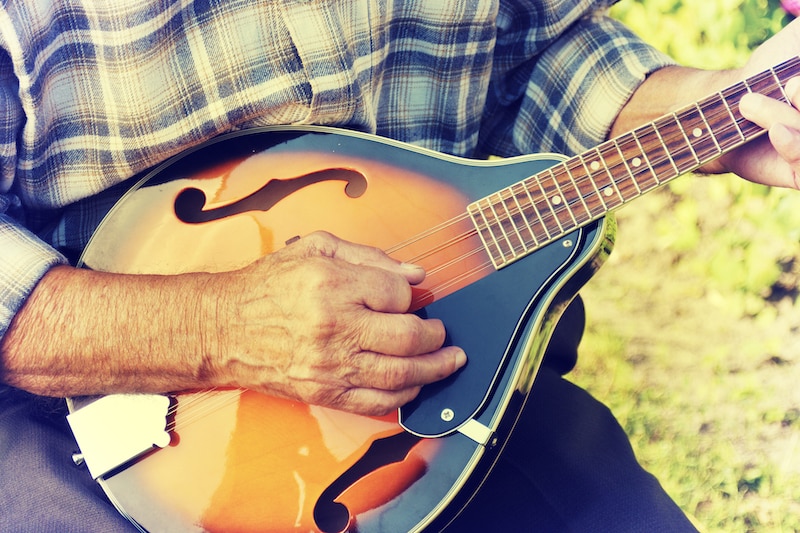 15 Fun And Interesting Facts About The Mandolin