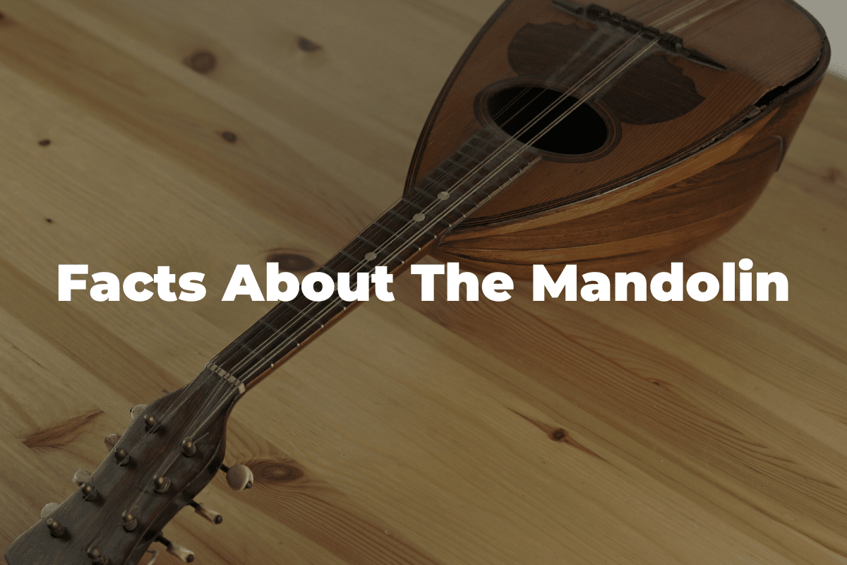 15 Fun And Interesting Facts About The Mandolin