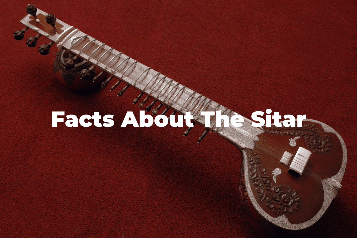 13 Fun And Interesting Facts About The Sitar