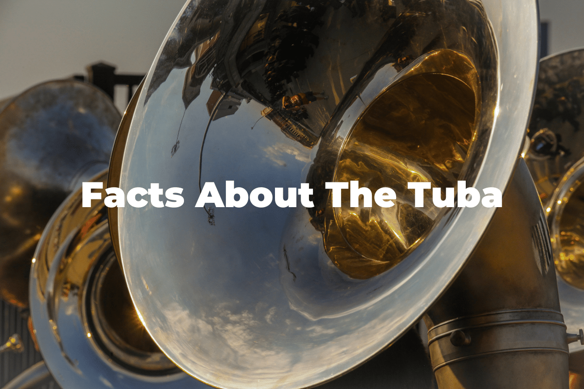 16 Fun And Interesting Facts About The Tuba You Should Know