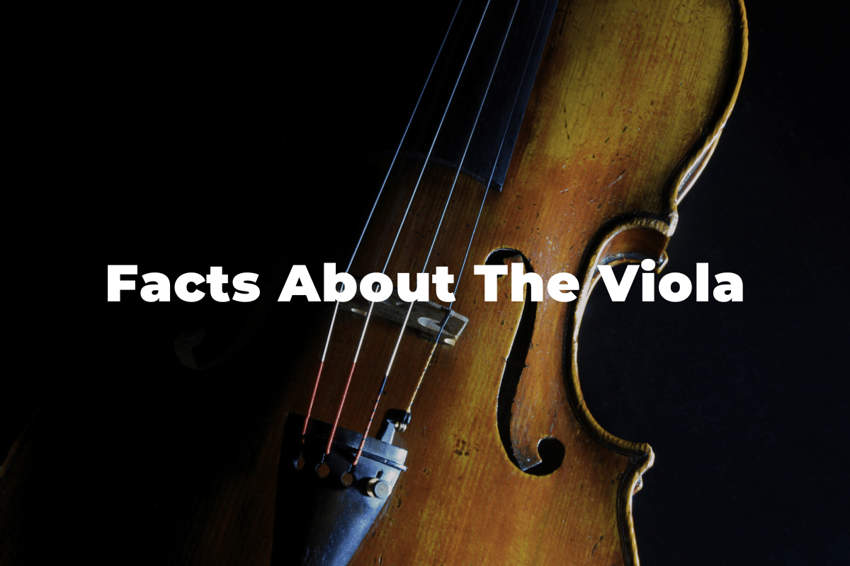 16 Fun And Interesting Facts About The Viola You Should Know
