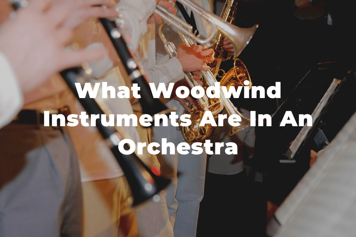 What Woodwind Instruments Are In An Orchestra?