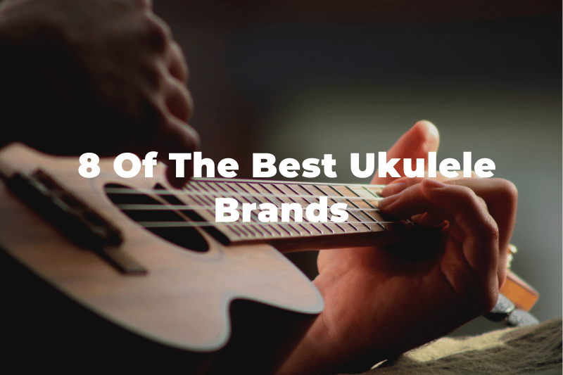 12 Best Ukulele Brands In The World (And Which To Avoid) atelieryuwa