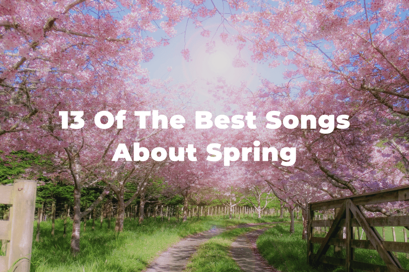 13 Of The Best Songs About Spring