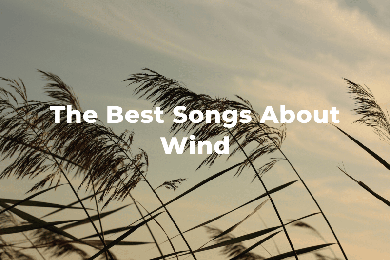 15 Of The Best Songs About Wind And Windy Days