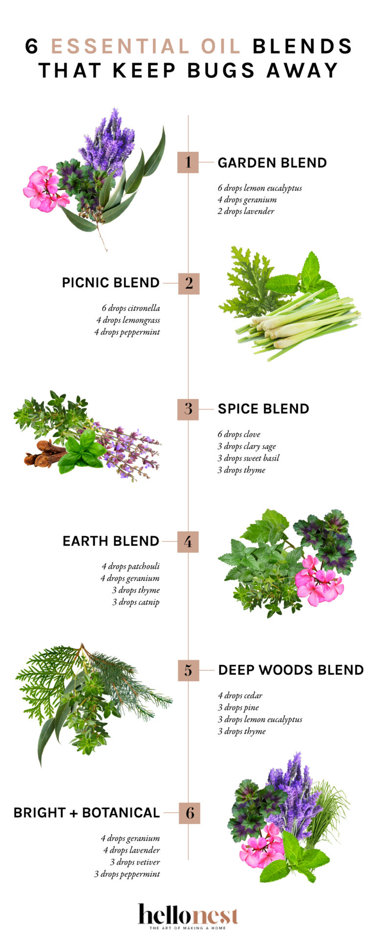 6 Essential Oil Blends That Will Keep Bugs Away Hello Nest