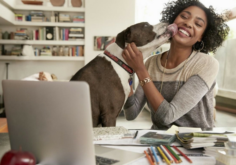 “How Do Dogs Choose Their Favorite Person?” Nuzzle