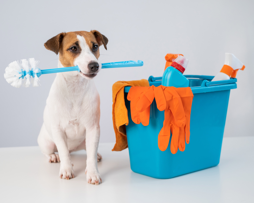Best PetFriendly Cleaning Products on the Market Nuzzle