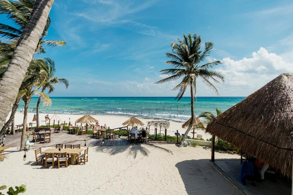 Petit Lafitte Beach Front Hotel & Bungalows Playa del Carmen Riviera