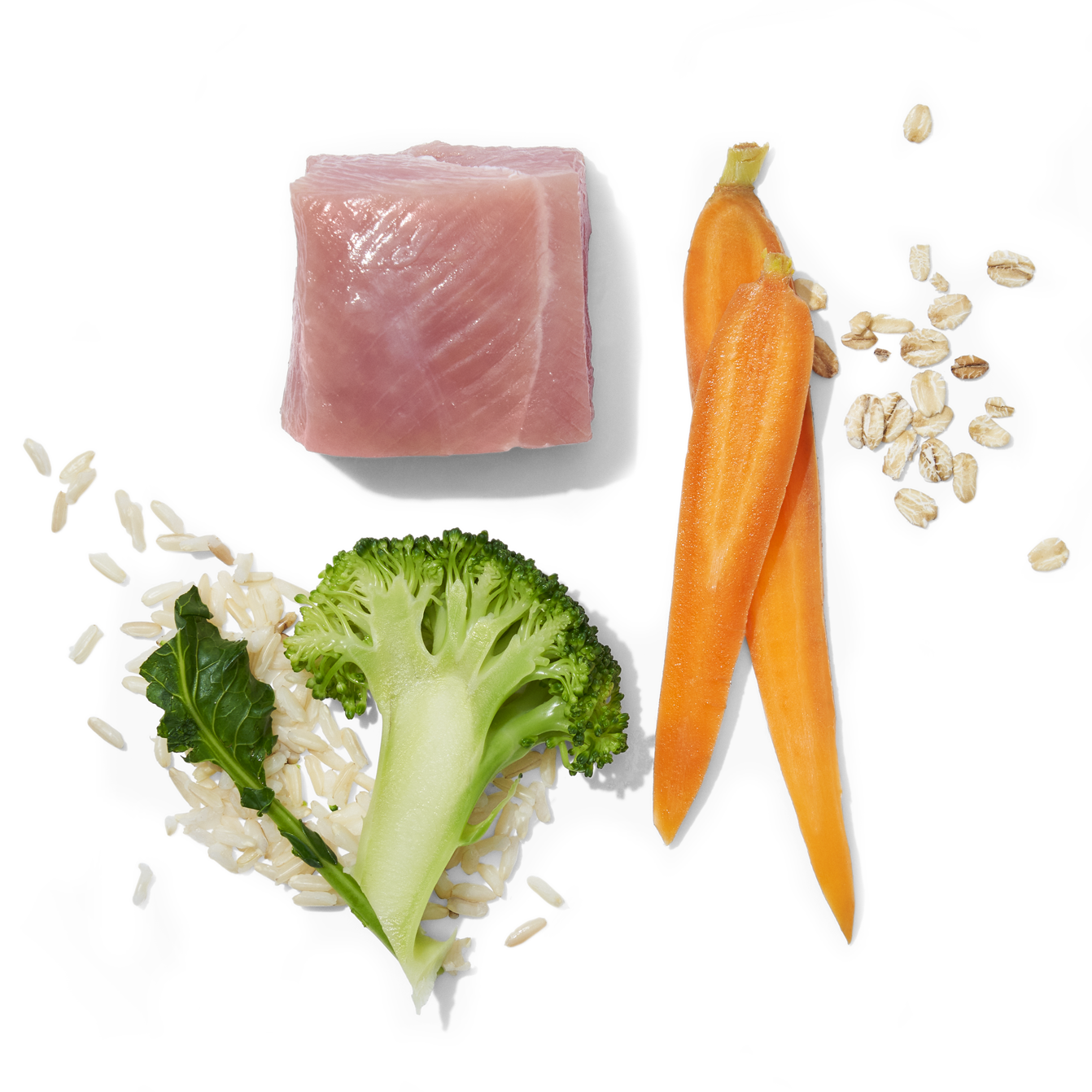 Turkey Tried & True PURE Dog Food