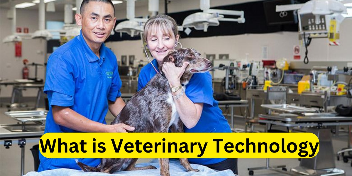 "Understanding Veterinary Technology Next Mobile Ajman"
